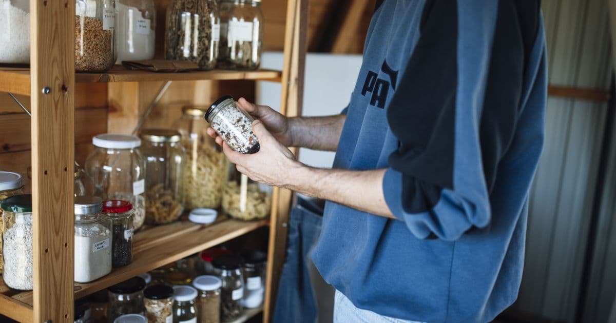 Lizard-Proofing Your Kitchen and Store Rooms