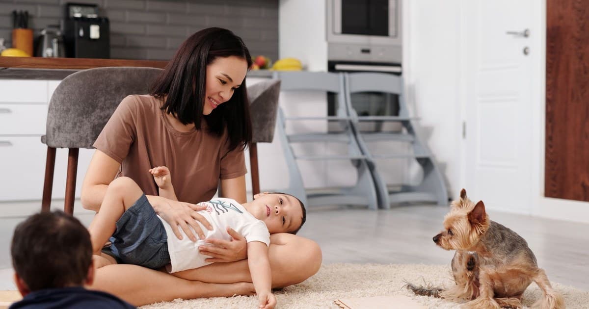 Is Pest Control Safe? Chemicals, Warranty and Precautions
