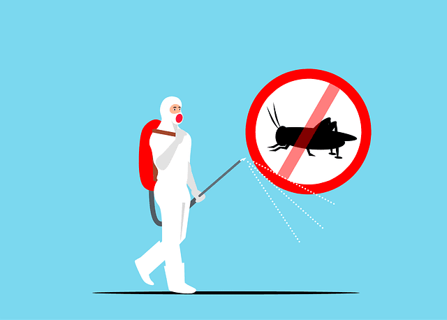 Why Regular Pest Management Is Essential for a Healthy Home